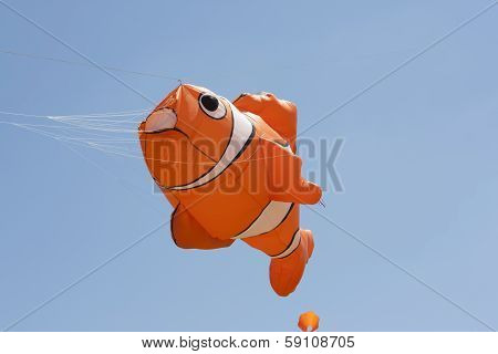 Orange And White Nemo Clownfish Kite Flys