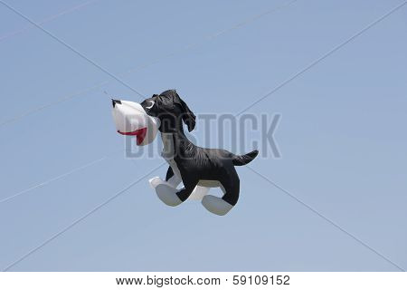 Black And White Dog Kite