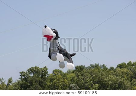 Black And White Dog Kite Above The Trees