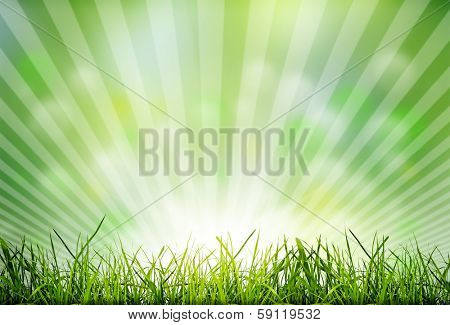 wood textured backgrounds in a room interior on the sky field backgrounds