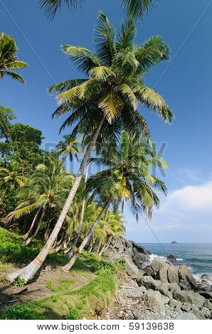 Wild Colombian Caribbean Coast Near Capurgana