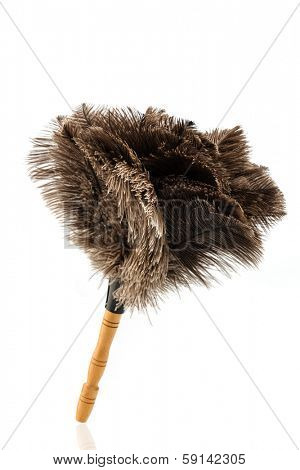 a feather duster against white background, symbol photo for cleanliness and care
