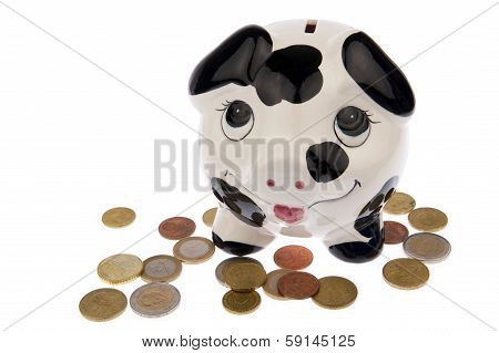 Pig On Bed Of Euro Coins