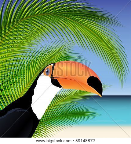 Exotic trip card