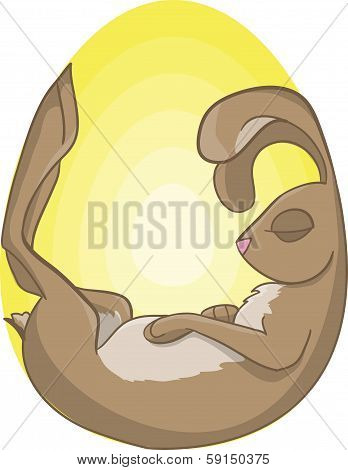 Bunny In Yellow Egg