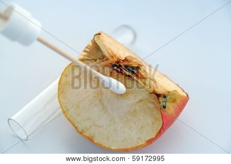 Food sample