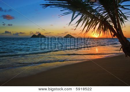 Nascer do sol Pacífico