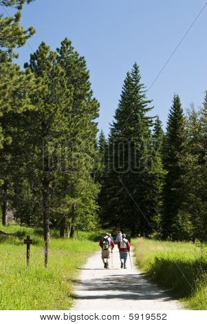 Harney Peak Trail