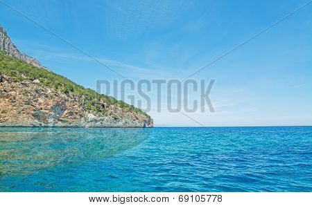 Cliff By The Shore