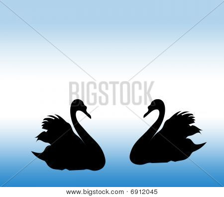 The Swan.