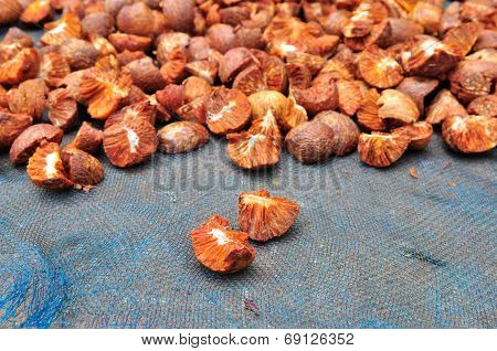 Dried Betel Nut Or Areca Nut. Betel Nut Or Areca Nut Is Seed Of The Betel Palm