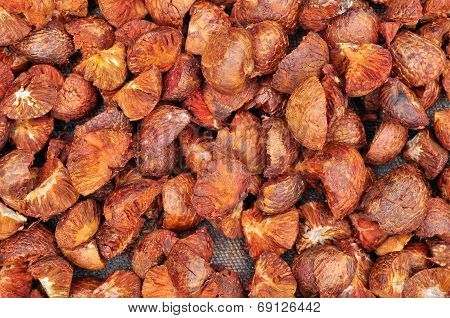 Dried Betel Nut Or Areca Nut