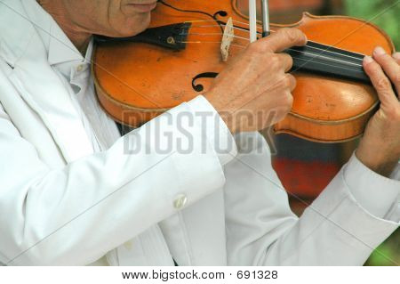 Violist