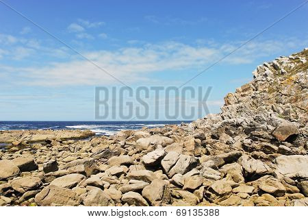 Stone Coast On Cies Islands In Atlantic, Spain