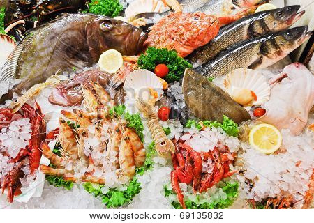Raw Fish And Seafood In Ice