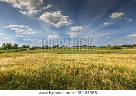 Suwalki Landscape Park, Poland.