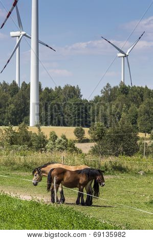 Wind Turbines In Suwalki. Poland