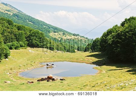 Rural View In Monte Baldo Mountains, Italy