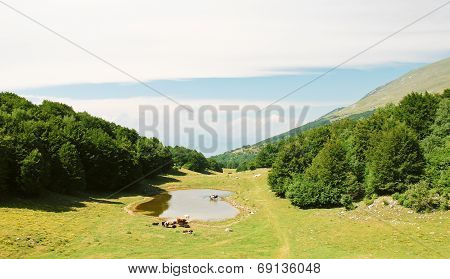 Country Landscape In Monte Baldo Mountains
