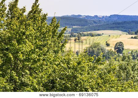 Suwalki Landscape Park, Poland.