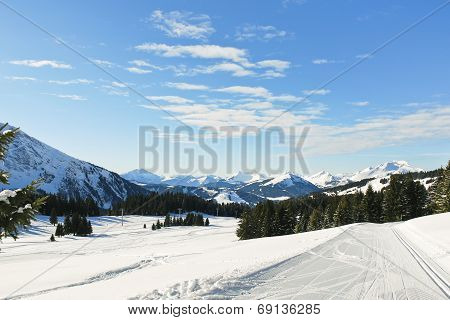 Ski Tracks In Snow Forest In Alps