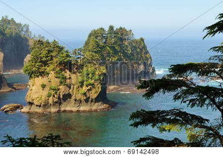 Cape Flattery