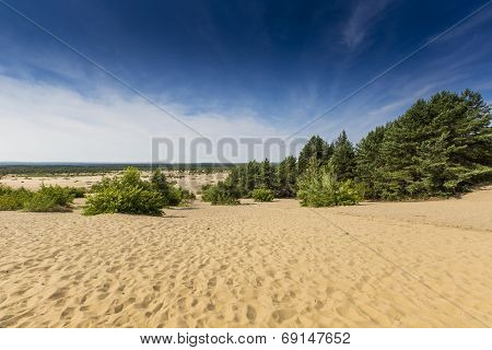 Bledow Desert, An Area Of Sands Between Bledow And The Village Of Chechlo And Klucze In Poland.