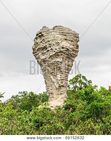 Amazing Shape Of Natural Old Stone