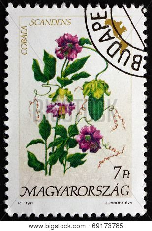 Postage Stamp Hungary 1991 Cathedral Bells, Flowering Plant