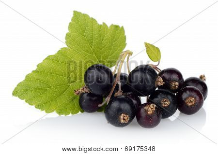 Photo Of Blackcurrant With Leaf Isolated On White