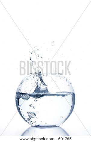 Splash