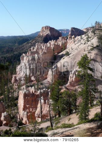 Skalní & borovic na Bryce Canyon.