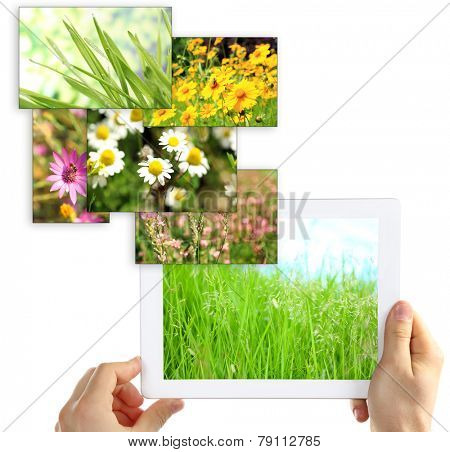 Tablet PC in hands and images of nature objects isolated on white