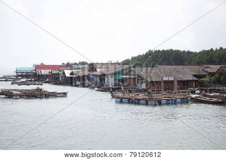 Floating Home