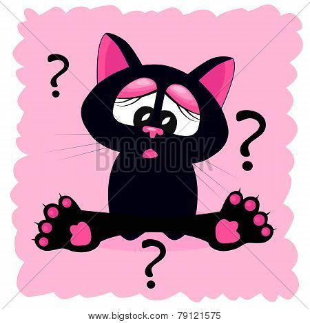 Black Cat