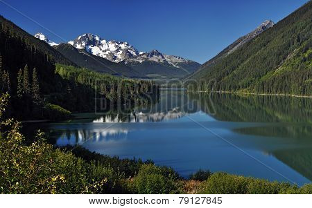 Beautiful green foliage by a mountain lake