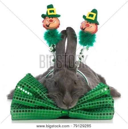 st patricks day bunny wearing green bowtie on white background