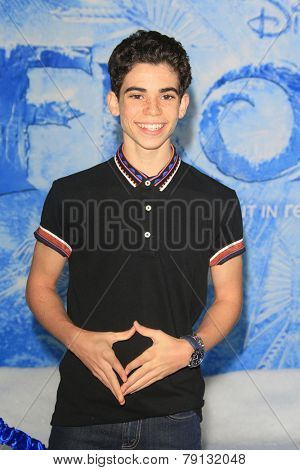 LOS ANGELES - NOV 19: Cameron Boyce at the premiere of Walt Disney Animation Studios' 'Frozen' at the El Capitan Theater on November 19, 2013 in Los Angeles, CA