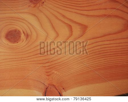 Larch Wood Background