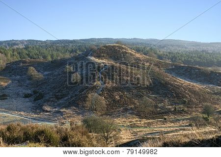 Big Hill In The Forest