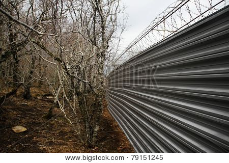 Iron Fence In The Forest