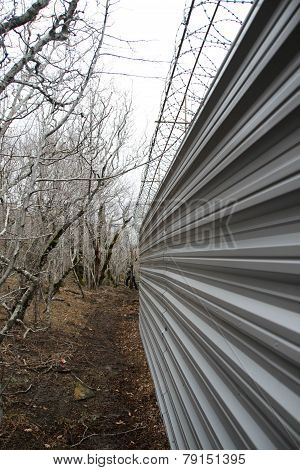 Iron Fence In The Forest