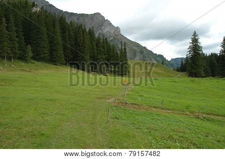 Trail And Signs On Meadow In Alps In Switzerland