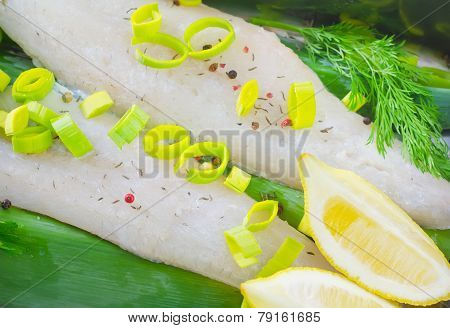 fish