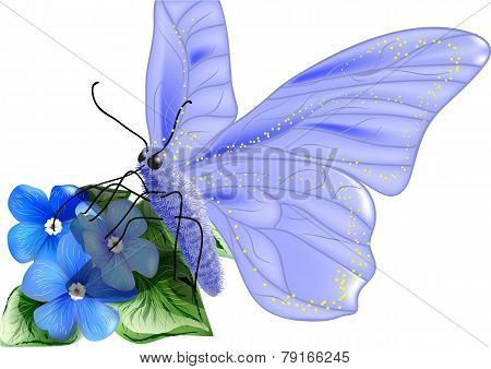 Butterfly Pollen