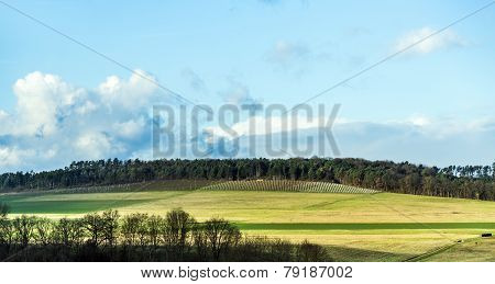 Landscape At Wertheim