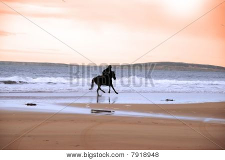 รูปเงาดำของม้าและไรเดอร์ Galloping ตามชายฝั่ง