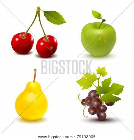 fruit