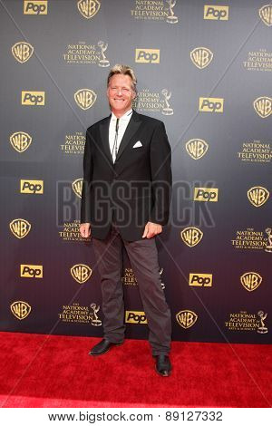 LOS ANGELES - APR 26:  Matthew Ashford at the 2015 Daytime Emmy Awards at the Warner Brothers Studio Lot on April 26, 2015 in Burbank, CA