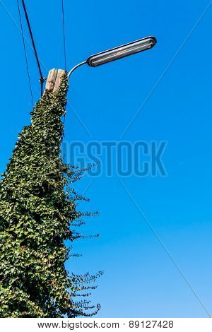 power pole street light blue sky as a symbol of power grid, green energy, alternative energy